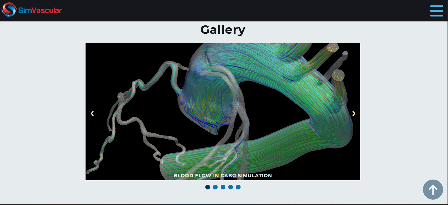 Week 3: Navigating Remote Lab Work and Exploring SimVascular