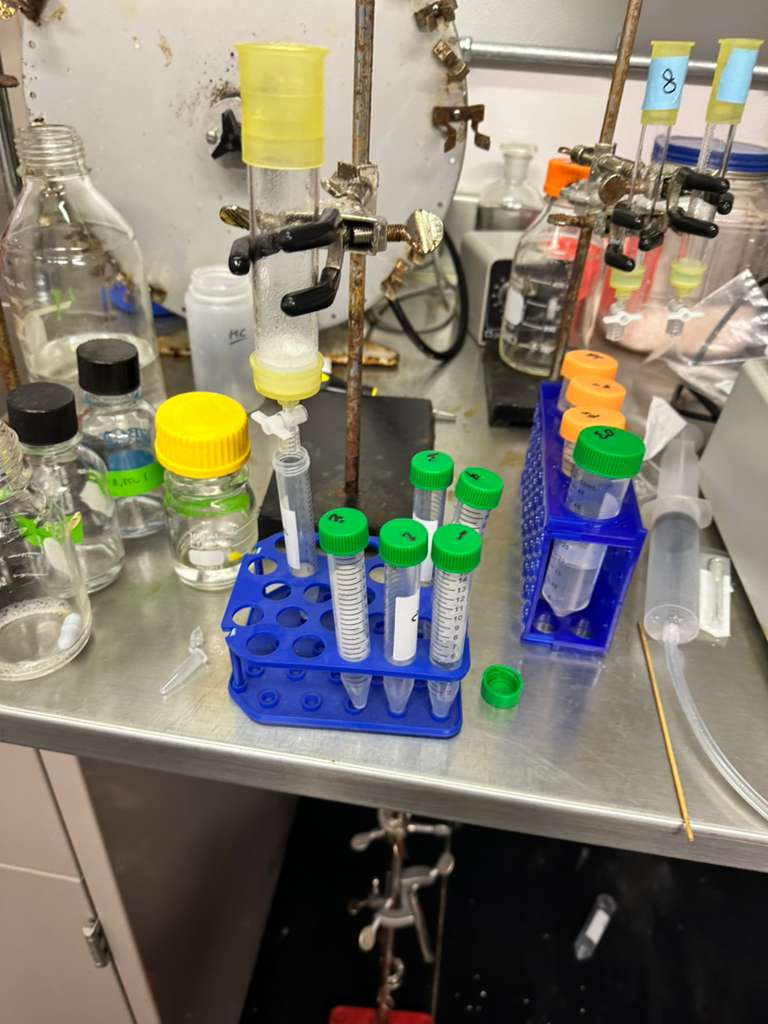 Week 6: The Experiments Begin